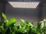 AC 265V 660nm Quantum Board Light For Farming