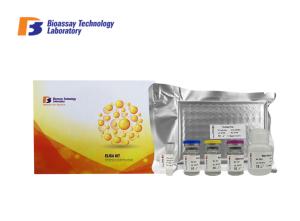 China 96 Wells Mouse High Specificity and Sensitivity IFNG ELISA Kit 48 Wells For Research factory