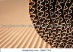 Advanced Competitive Automatic Cardboard Single Facer Carton 2 Corrugated Ply