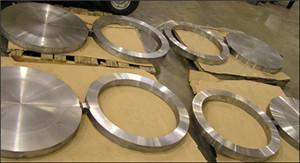 China ASTM A182 F316L spectacle blind WN SO SW blind flange forging disc ring factory