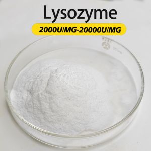 Lysozyme Enzyme 20000U/MG FSSC22000 MUI Kosher System Certification Customizing