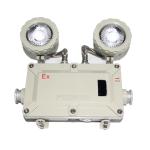 Twin Spot LED Flameproof Light Wall Mounted
