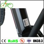 700C 28 Inch Mix Color Electric Mountain Bike Modern Front Rear Disc Brake