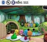 Indoor Jungle Gym Playground Customizable