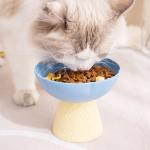 Designer Korean Pet Bowl | Modern Home Decor Pet Feeding | Aesthetic Living