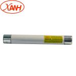 Sdldj-12/25 VDE Certified Insert Installation Electric Transformer Fuse 12Kv