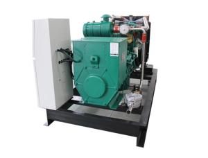 China Weatherproof 50HZ 230V Biogas CHP , Biogas Fuel CHP Heat And Power BHKW 25KW 30KVA factory