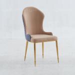 Backrest Decoration 50x60x97cm SS Dining Chairs Modern Dining Room Chairs