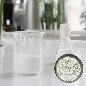 HN32 Hollow Glass Microspheres for Aviation Tooling Boards