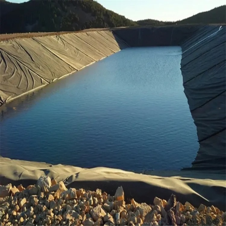 Double Smooth HDPE Geomembrane for Fish Ponds 1.25mm/2mm/4mm Thickness Shandong Exporter