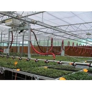 Origin Double Arch Beam Greenhouse for Capsicum Shipping Cost and Production