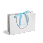 Luxury Printed Custom Logo Clothing Gift Paper Packaging Bags with Hand Length
