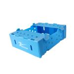 Fruit Corrugated Plastic Packaging Boxes Environmental Protection