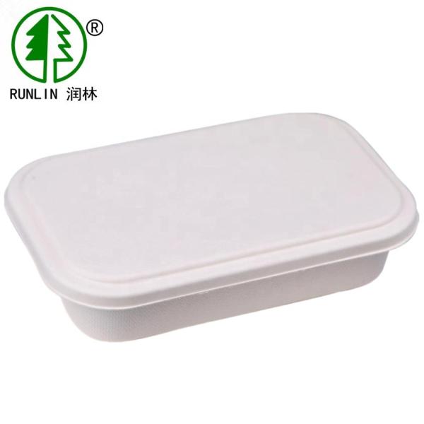 2 Compartment Bagasse Food Containers Pulp Eco Friendly Disposable Food