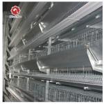 H Type Chicken Feeder Cage Animal Laying Chicken Cages For Broilers And Chicks