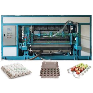 China Stable Automatic Paper Pulp Molded Egg Tray Machine 5000pcs/H factory