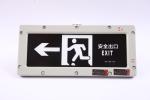 BYY-3w-IP65 Flameproof Emergency Light 120 Mins LED 220VAC 24/36VDC 3000/4000