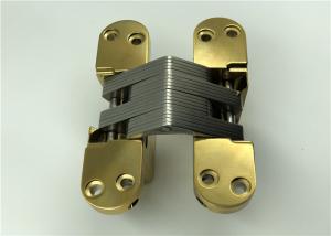 China High Sensory Stainless Steel Concealed Hinges With PVD Surface Finishing factory