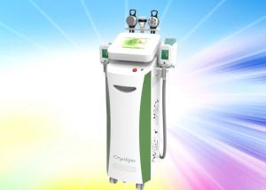 China Professional cryolipolysis machine freeze fat with CE 5 treatment heads factory