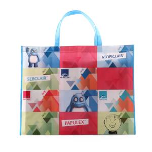 China Ink Printing OPP Laminated Shopping Non Woven Packaging Bags factory