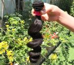 Healthy 100% Malaysian Human Hair Weave Natural Black / Dark Brown From Young