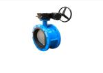 Threaded Electric Actuated Water Treatment DN50 ~DN3000 Butterfly Valve