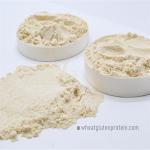 Slightly Yellowish 8002-80-0 Dried Wheat Gluten Powder