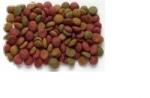 Advanced Stainless Steel Small and Medium Capacity Pet Food Pellet Extruder