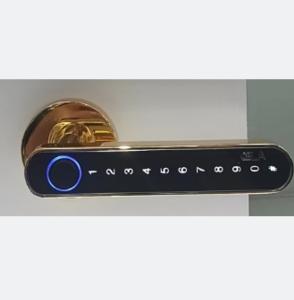 China OEM ODM Push Pull Door Lock Digital Wifi Keyless Entry Door Lock on sale