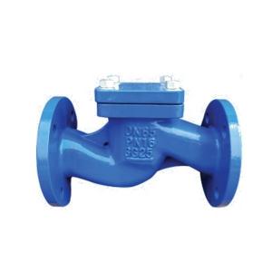 China Blue Swing Type Check Valve , DIN Cast Iron Lift Check Valve Check Structure factory