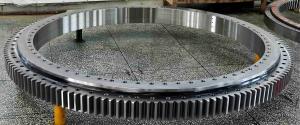 China Annealing Single Row Swing Bearing Excavator Slew Ring RKS 061 25 1644 factory