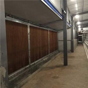 China Waterproof Poultry Farm Management System , No Micro Hole Air Cooler Side Pads factory