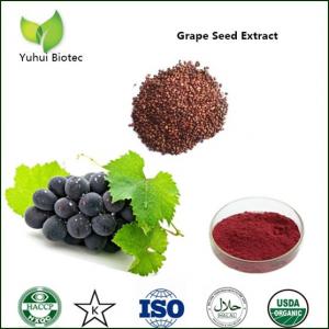 China grape seed extract,black grape seed extract,grape seed extract powder on sale
