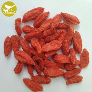 China EU standard High Quality Bulk Chinese Wolfberry/Goji berry/red medlar From Factory factory
