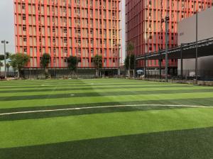 China 55mm Synthetic Artifical Soccer Grass Detex 11000 Good Stiffness factory