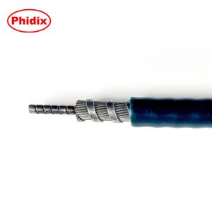 Button Lock Push-Pull Control Head