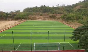China 60mm Height Football Artificial Turf 6600 Detex Wear Resistant factory