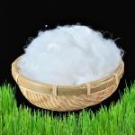 Versatile Low Melt Polyester Staple Fiber for Various Nonwoven Uses