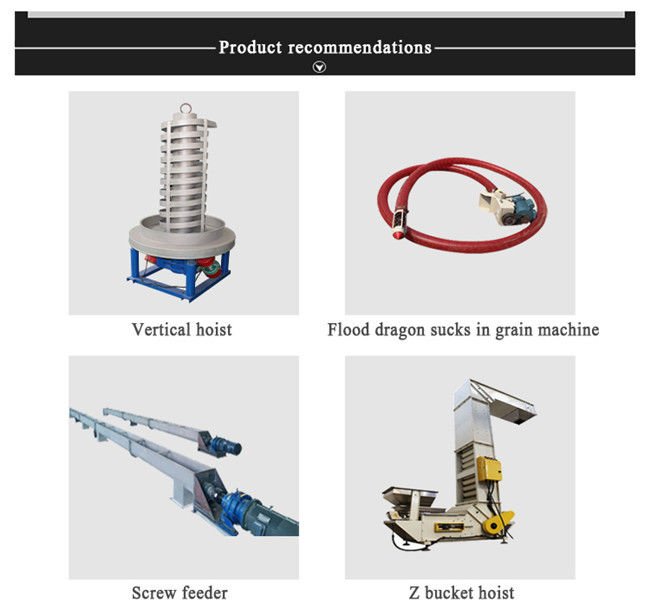 Multi Model / Function Stable Running Bucket Elevator Conveyor Machine