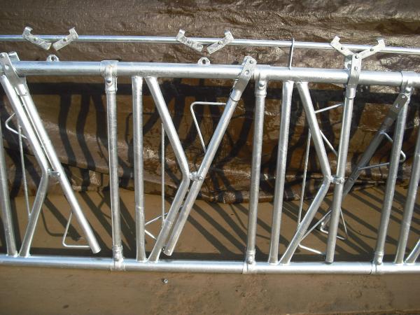 Customized Size Cattle Headlock Feeder For Farm Barn / Farming Field Acid