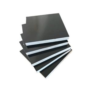 China Black Hollow Material Film Faced Plywood Construction Grade 1220mm*2440mm factory