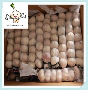 China 2016 China Cold Store Fresh Garlic Normal White and Pure White factory