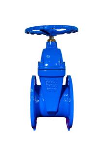 China Rising Stem Resilient Seated Valves Sewer Gate Valve F4 CE/ISO Certified factory