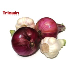 Onion paste processing machine Fruit And Vegetable Processing Line Onion