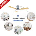 5 Speed 48 Inch Flush Mount Ceiling Fan With Light And Remote DC Inverter
