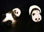 A pair of panda lights LED resin waterproof landscape lamp translucent animal