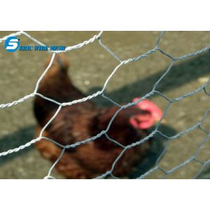 1", 2" mesh Cheap Chicken Wire mesh Roll/Rabbit wire Mesh /Galvanized Hexagonal