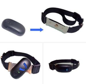 China Worlds Smallest Mini Pet Cow Gps Tracker For Cat,Small Dog Pet Tracker Gps Suitable For Cattle Tracking factory
