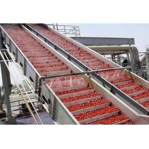 Complete Customized Strawberry Processing Line Blueberry/Strawberry/Raspberry