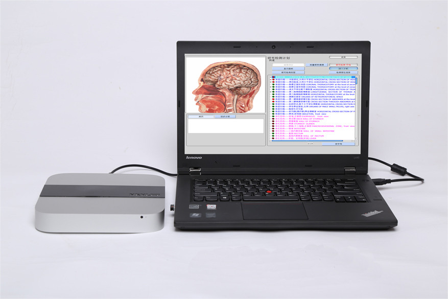 Original 9d Cell nls Full Body Health Analyzer 9d-nls With Russian/English Software